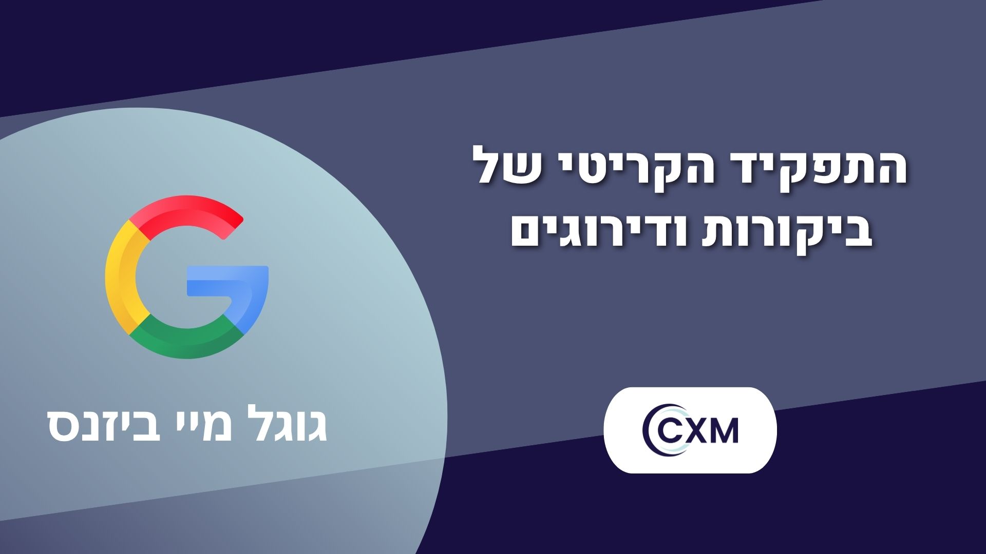 התפקיד הקריטי של ביקורות ודירוגים